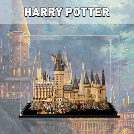 Display Case For Harry Potter
