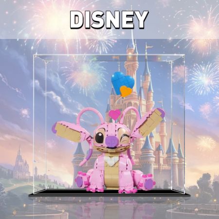 Display Case For Disney