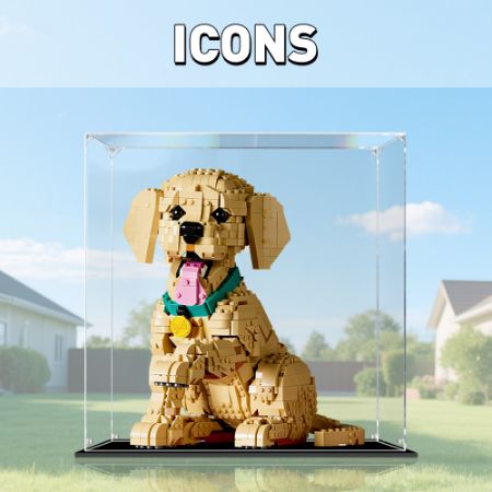 Display Case For Icons