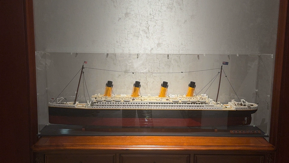 Why Collectors Choose EasyCase Display Cases